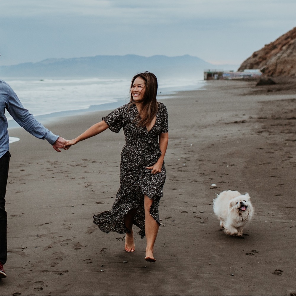 Petal & Pup Josephine Dress